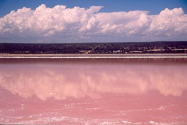 розовое озеро Австралии
