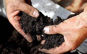 Почва стала настолько токсичной, что контакт с ней уже убивает.