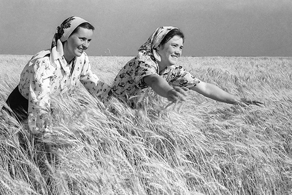 Зависимость от США: почему Советский Союз всегда закупал зерно за границей
