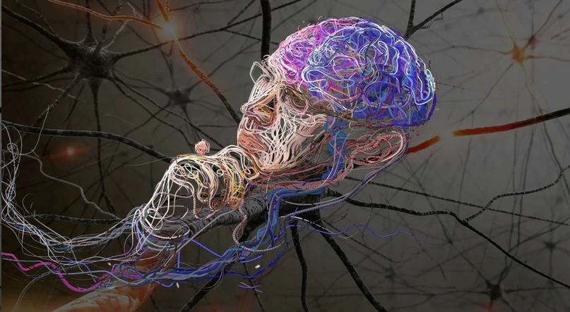 Человеческие и искусственные нейроны научились связываться друг с другом через интернет