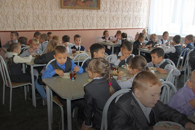 Социальный вопрос: Почему заключённых в России кормят бесплатно, а школьников за счёт родителей