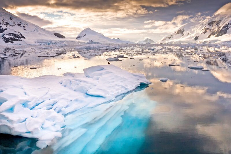 было бы полезно каждому оказаться в Антарктиде, чтобы осознать хрупкость Земли...