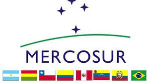 Зеленскому отказали в выступлении на саммите Mercosur в Парагвае