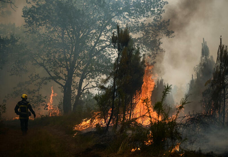 В Италии природный пожар окружает Рим