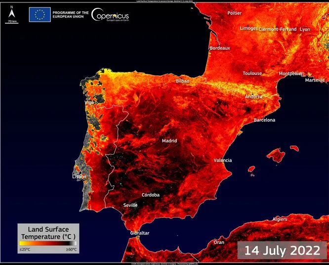 Ущерб от лесных пожаров в Европе видно из космоса