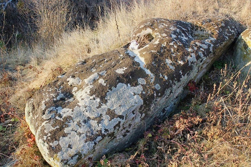 Каменный гость: откуда под Воронежем взялся лес из булыжников