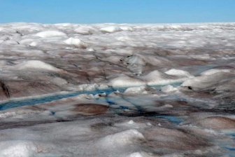 Цветение водорослей привело к потемнению ледников Гренландии