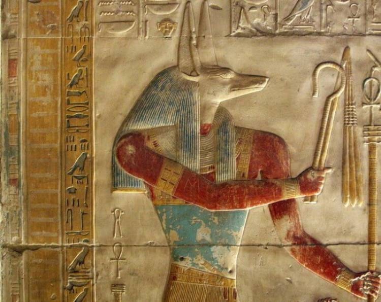 Зачем древние египтяне мумифицировали миллионы птиц?