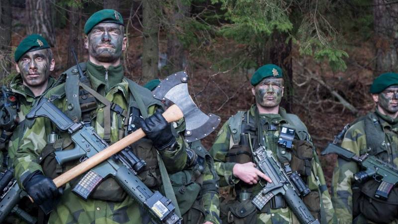 Ложное чувство защищенности: чем финны и шведы могут усилить НАТО