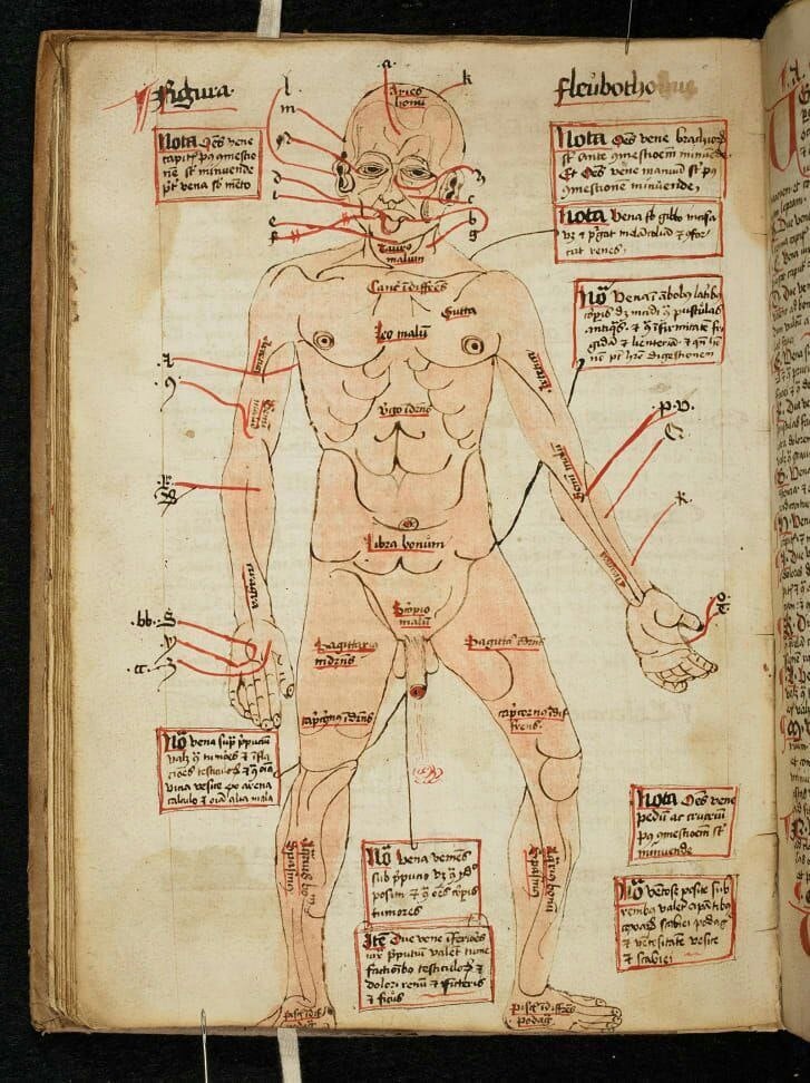 Медицинское руководство 16 века