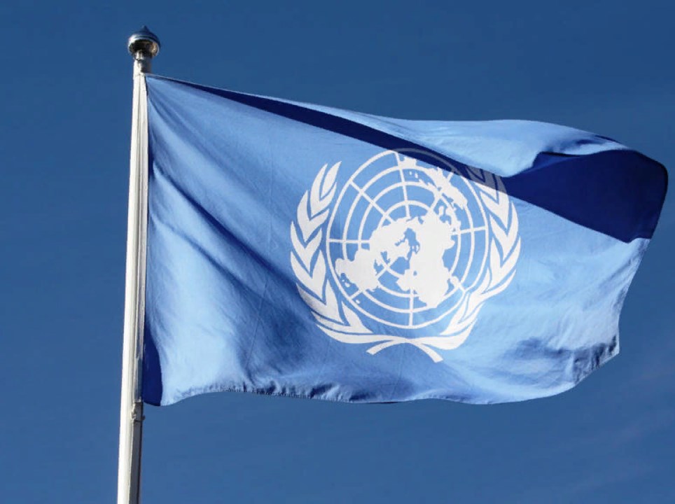 Спецдокладчик ООН призвала отменить все односторонние санкции