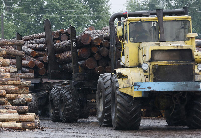 Власти Молдавии запустили онлайн-площадку для поиска дров