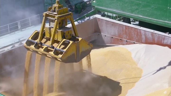 Белоруссия запретила экспорт зерновых