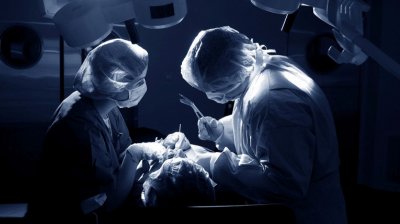 Донорство органов: вырезают у живых без анестезии