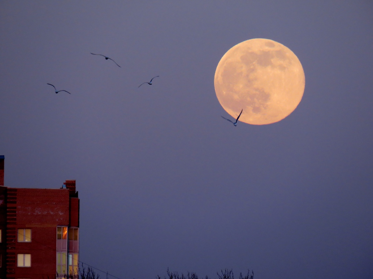Луна сегодня в санкт петербурге фото