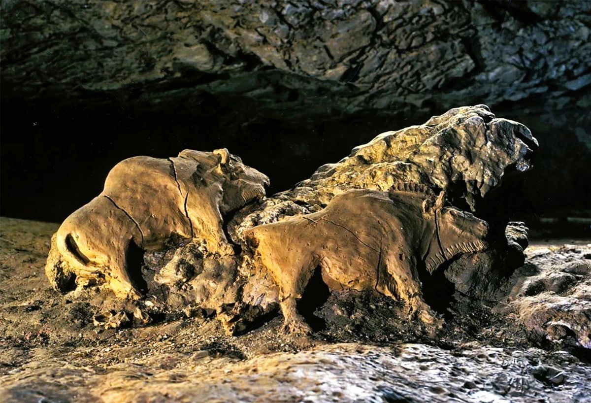 Взгляните на парочку зубров из пещеры Труа-Фрер