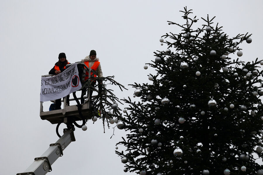 Экоактивисты отпилили верхушку рождественской елки в центре Берлина