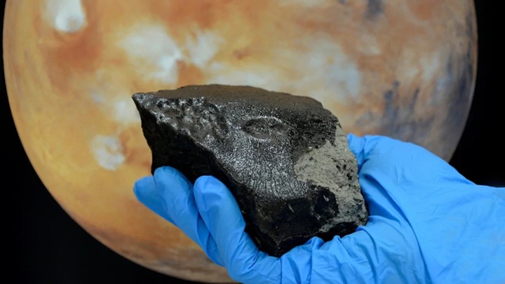 Разнообразие органики в марсианском метеорите впечатлило ученых