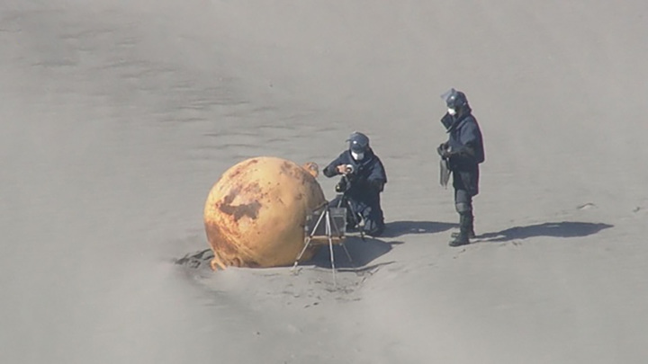 Неизвестный шар выбросило на побережье Японии
