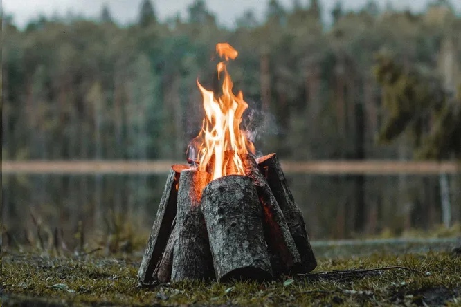 Знания об огне распространились 400 тысяч лет назад, как лесной пожар