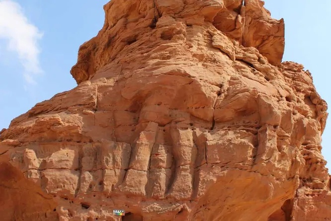 Гигантские вырезанные изображения верблюдов в Северной Аравии оказались на 6000 старше, чем предполагалось ранее