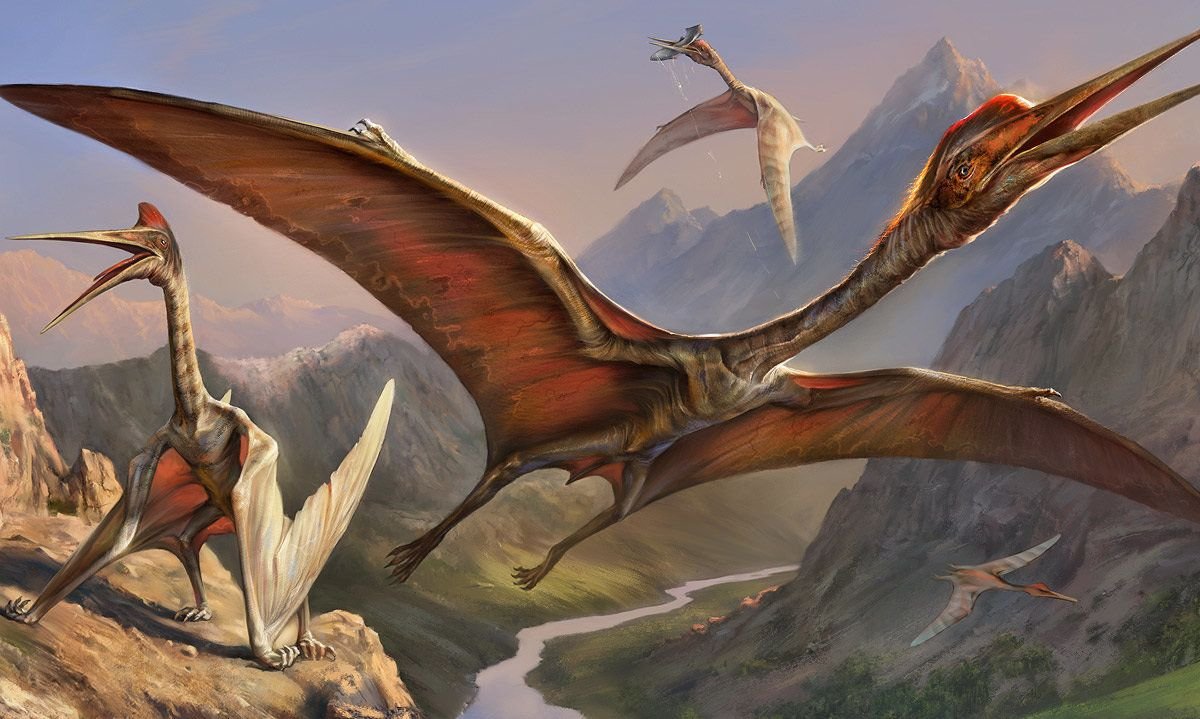 «Дракон смерти» с размахом крыльев в девять метров оказался самым крупным птерозавром Южной Америки