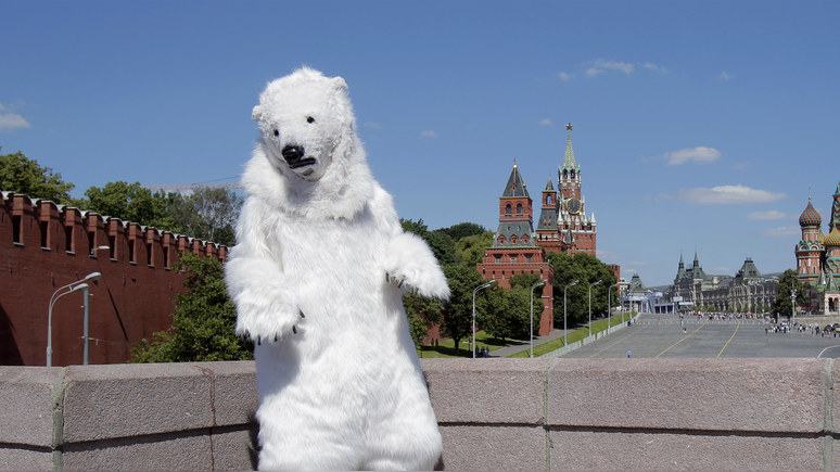 «Хватит винить во всём русского медведя» — обозреватель Causeur пристыдил коллегу за веру в русский заговор