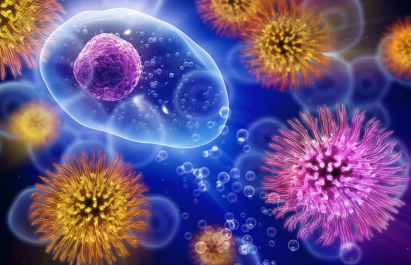 Идентификация иммунных клеток помогла выявить новые методы лечения аутоиммунных заболеваний