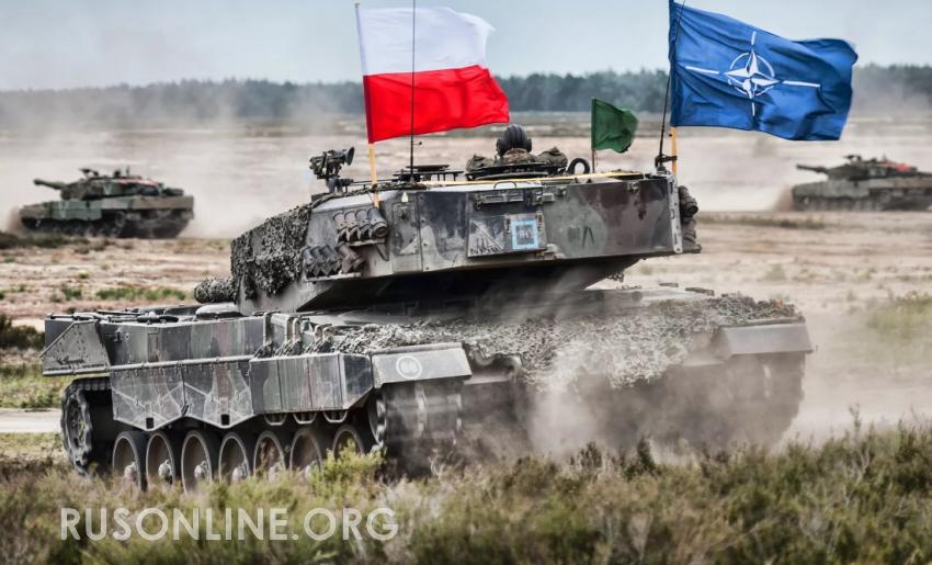 Суицидальный конфликт: польский политолог Крамер рассказала, чем обернется намерение Польши открыть второй фронт против РФ в Белоруссии