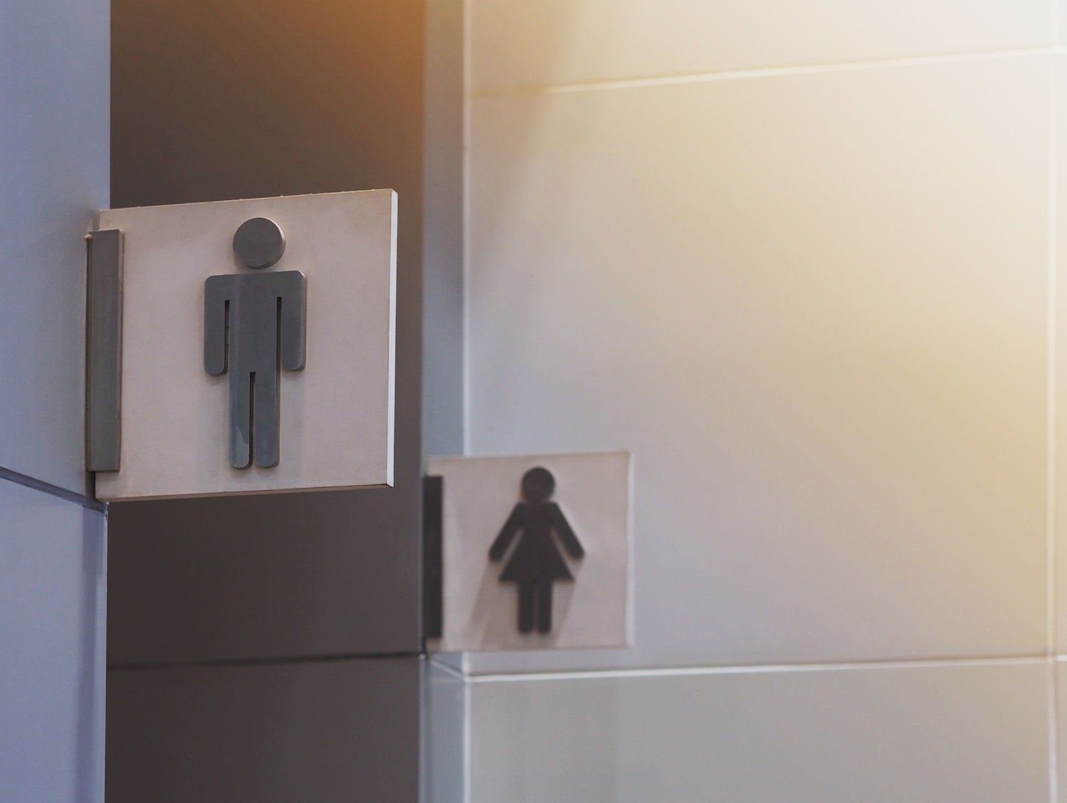 Эволюция общественных туалетов: Нормы СанПин и новые тренды в сантехнических перегородках
