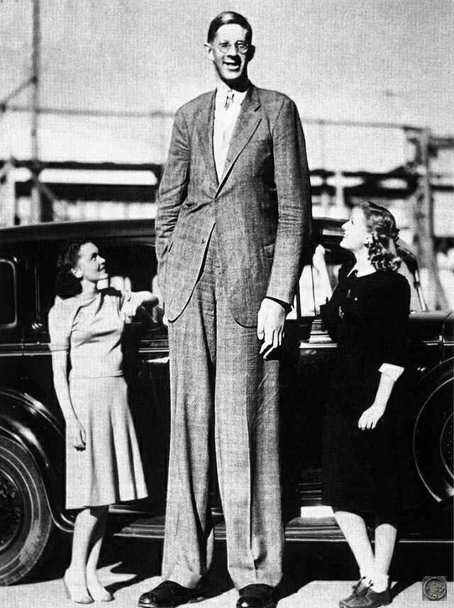 Самый высокий человек в мире Роберт Уодлоу.
