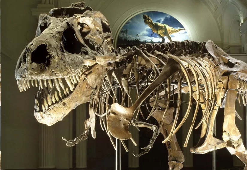 Останки динозавров, не вписывающиеся в классическую археологию