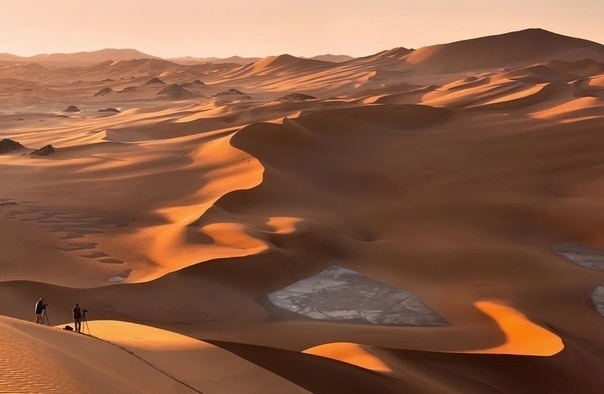 Сахара была морем, где жили гигантские сомы и морские змеи