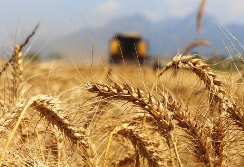Турция подготовила новый пакет предложений по возобновлению зерновой сделки