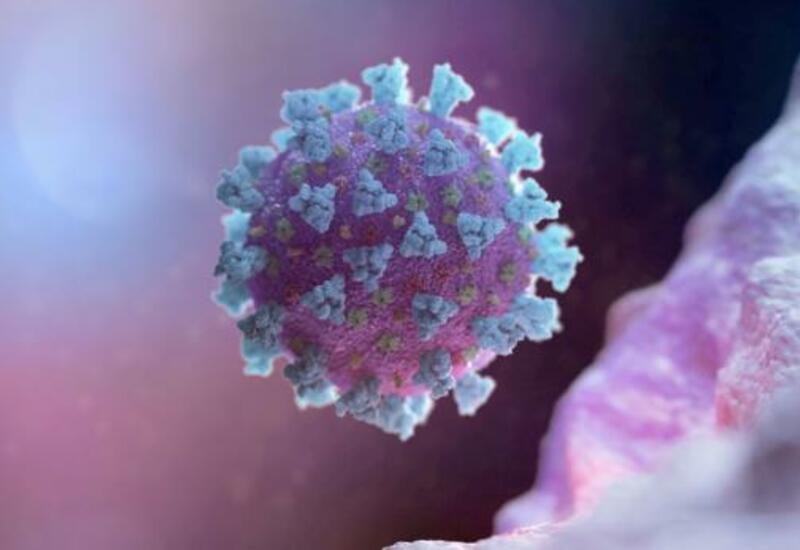 Защитят ли существующие вакцины от нового штамма коронавируса?