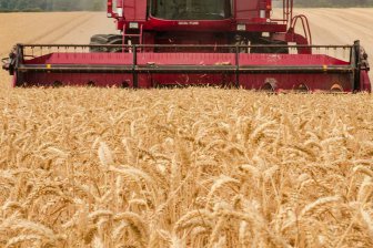 Зеленский пообещал ответить соседним странам Евросоюза на отказ ввозить зерно с Украины