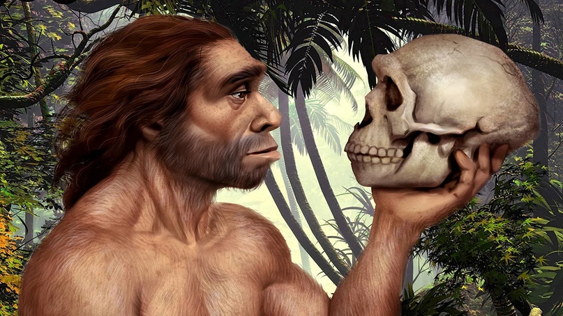 Откуда взялись неандертальцы?