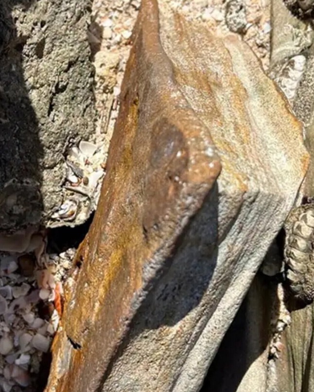 В Австралии, на глубине 12 метров нашли камень, похожий на окаменевшую книгу