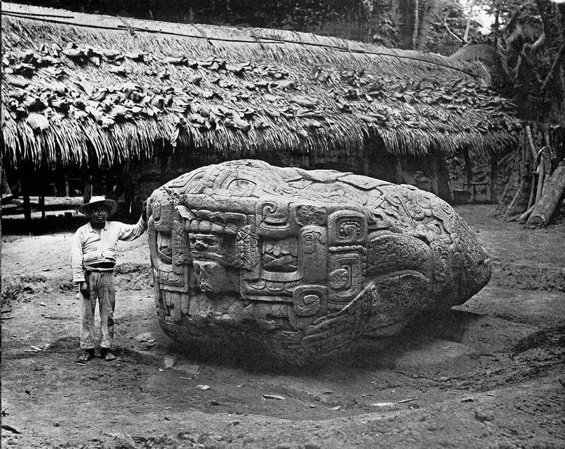 Монументальная скульптура. Зооморф, Киригуа, Гватемала, 1883 год.