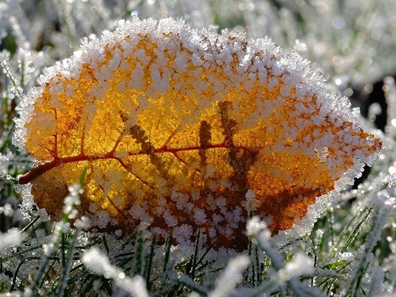 Метеорологическая зима начинается в центральных областях России