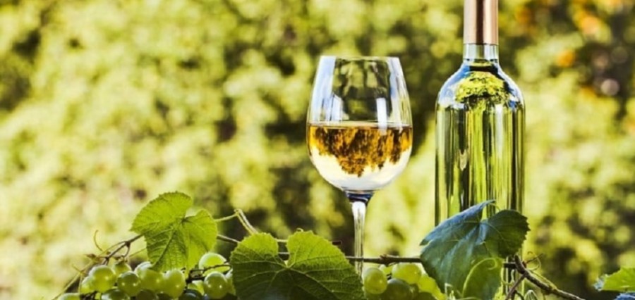 Не хлебом единым: в Ростовской области наладили производство безалкогольного вина