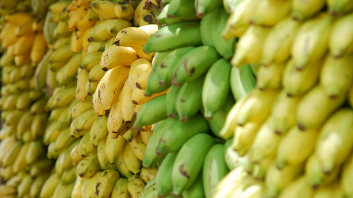 какие страны могут заменить эквадорские бананы в РФ