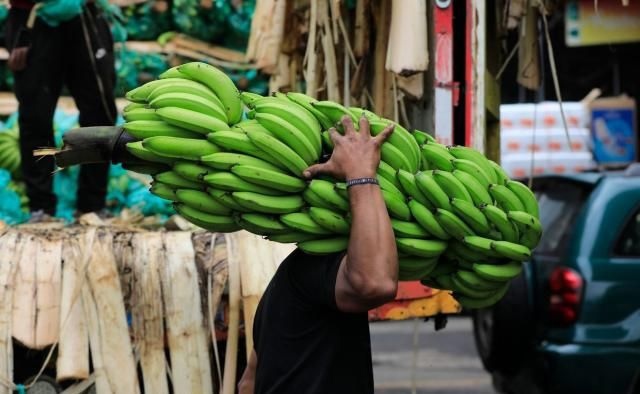 Эквадор поскользнулся на бананах: США подставили монополиста «Иглами» и «Градами»