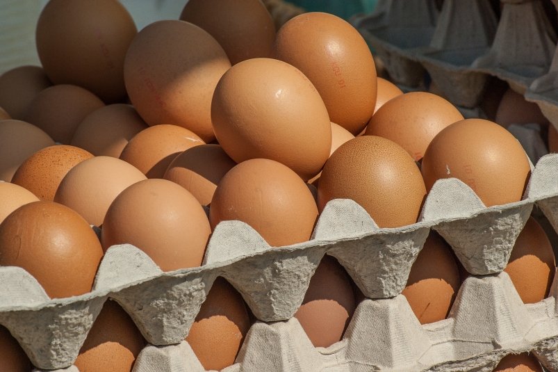 ФАС: в России начали дешеветь куриные яйца