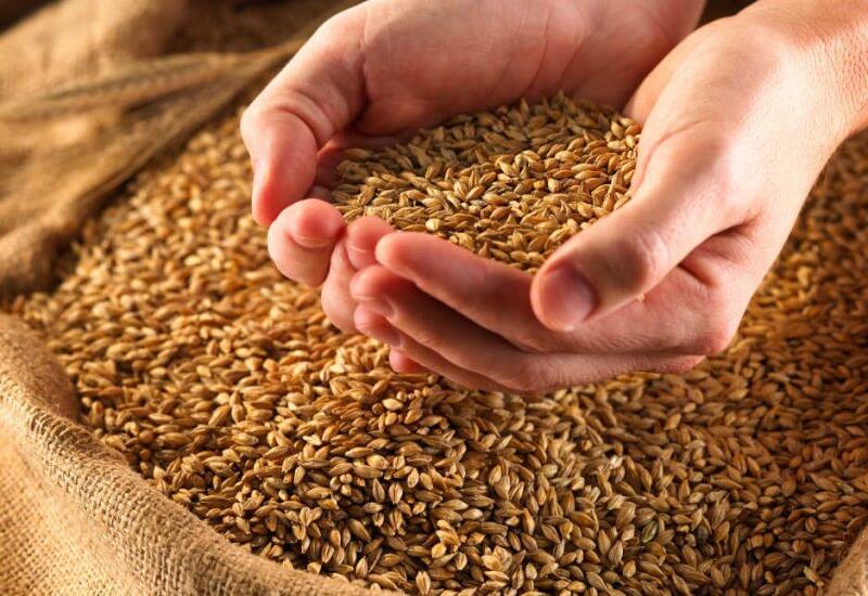 В ЕС назвали размер нового тарифа на зерно из России и Беларуси