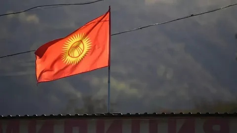 МИД Киргизии надеется на объективное расследование инцидента в Москве с участием семьи дипломата
