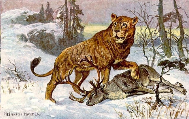 Древние пещерные львы Евразии оказались самостоятельным видом