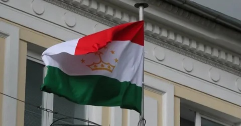 МИД Таджикистана рекомендовал гражданам временно не выезжать в РФ