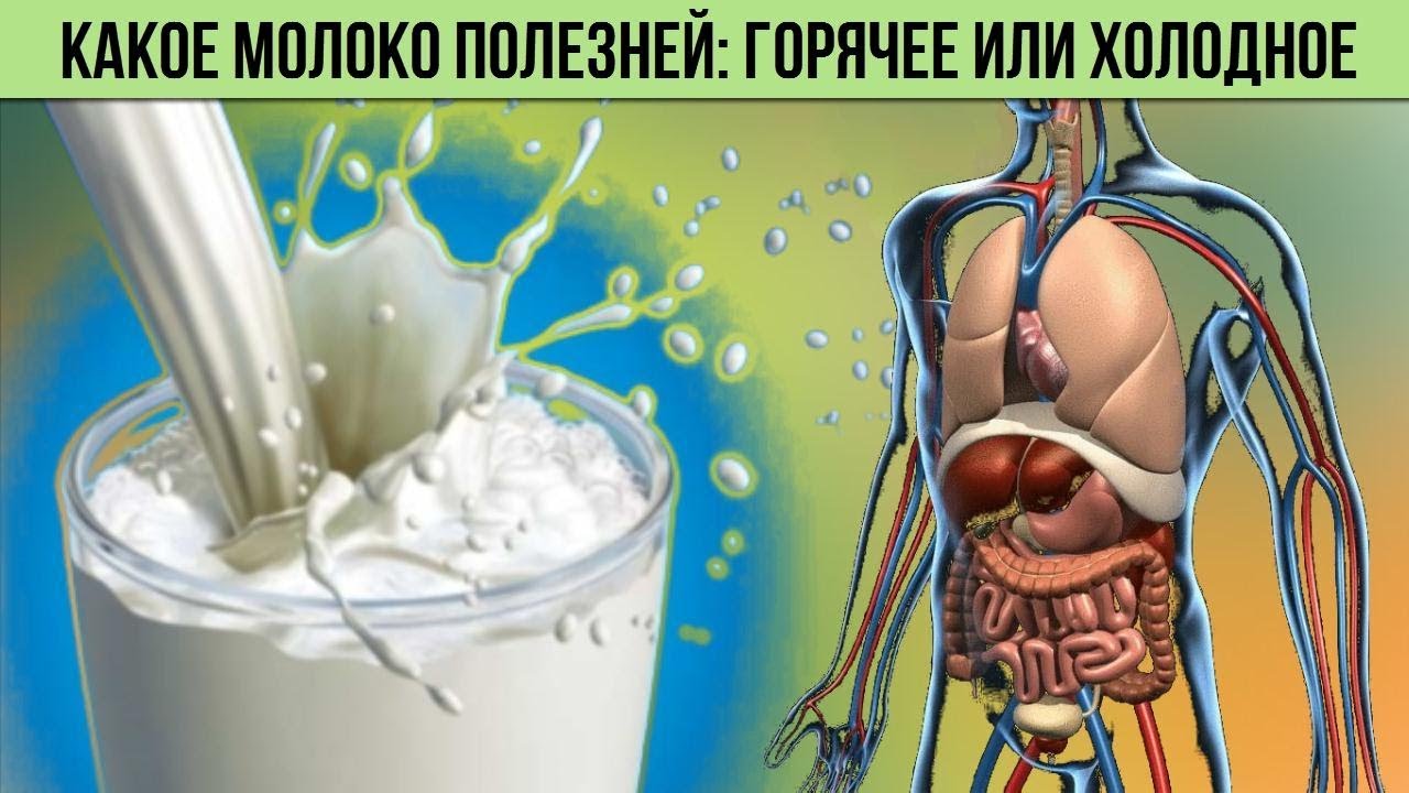 Какое молоко полезней ГОРЯЧЕЕ или ХОЛОДНОЕ Влияние молока на Организм Человека для Здоровья
