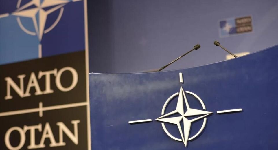 НАТО начал формировать сеть киберлабораторий у границ России